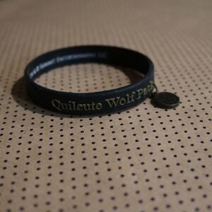 Twilight Quileute Wolf Pack Bracelet
